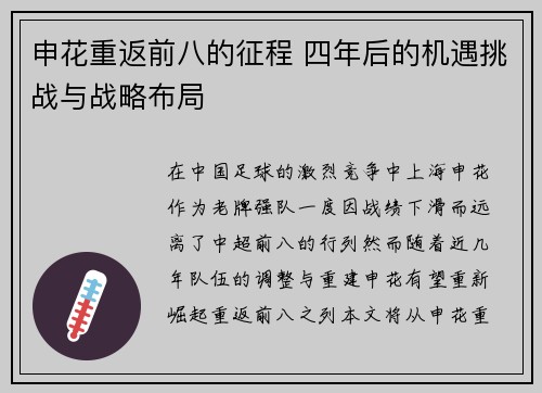 申花重返前八的征程 四年后的机遇挑战与战略布局