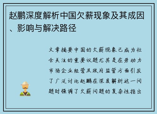 赵鹏深度解析中国欠薪现象及其成因、影响与解决路径